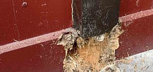 Houtrot-renovatie
